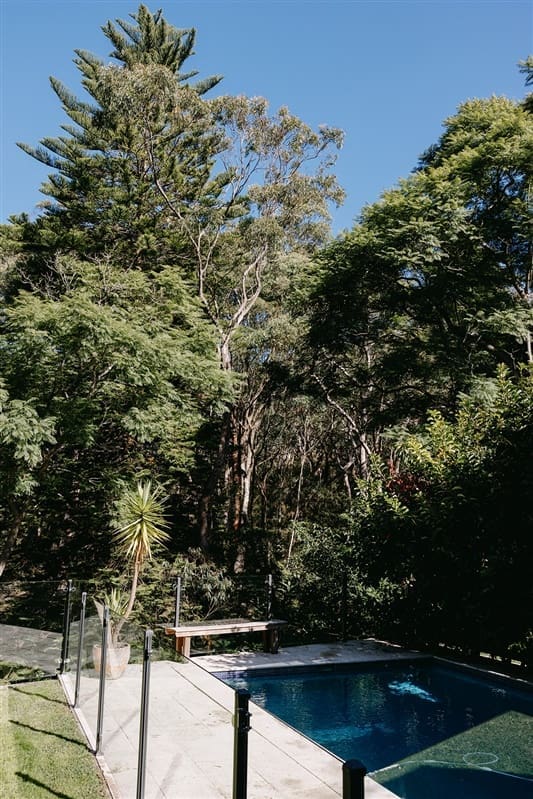 Tree lined backyard and pool area