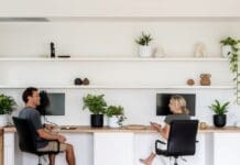 Design duo making indoor plants stylish