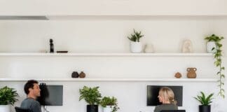 Design duo making indoor plants stylish