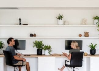 Design duo making indoor plants stylish