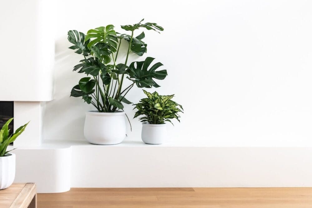 LULU stylish indoor pots