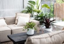 Quick tweaks for a more sustainable home Variety of pots from Indoor Pot Supply Co