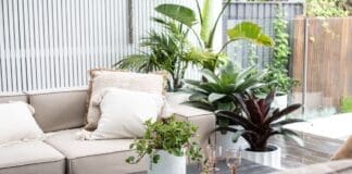 Variety of pots from Indoor Pot Supply Co