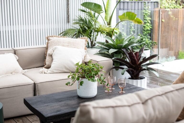 Variety of pots from Indoor Pot Supply Co