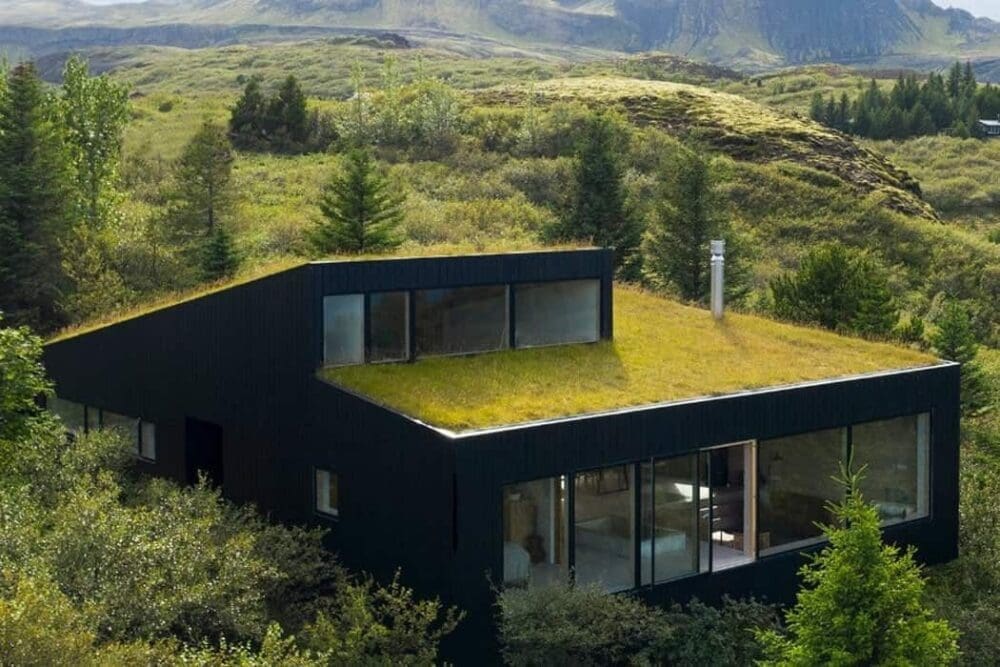 Green living roof