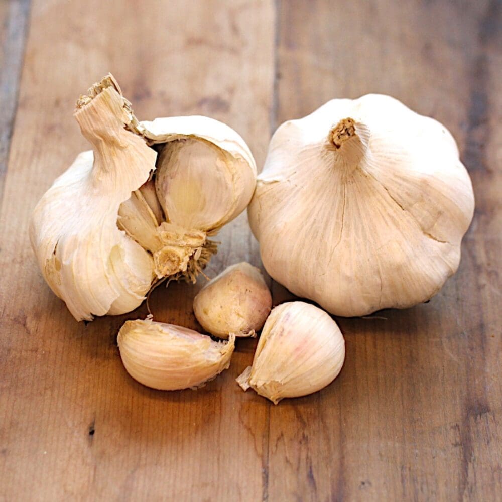 Garlic bulbs