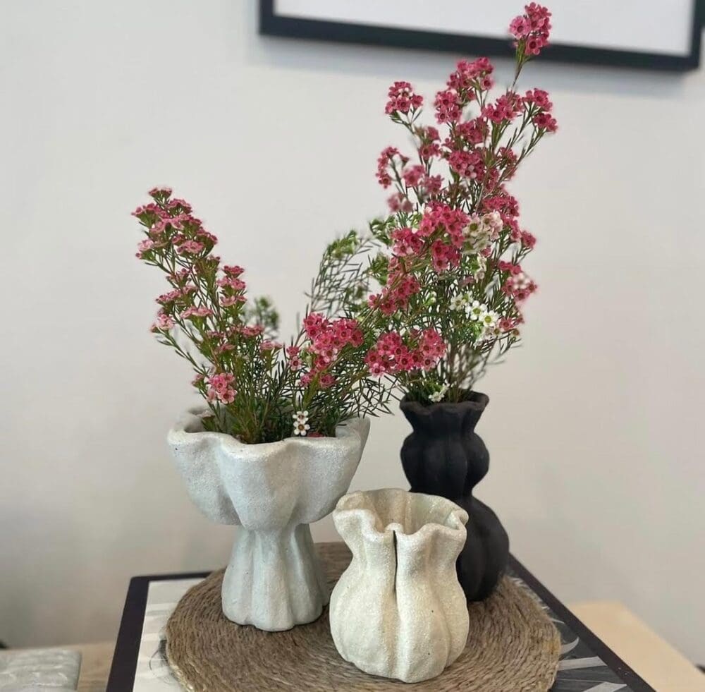 Ceramic vase collection owned by Sylvia Jeffreys